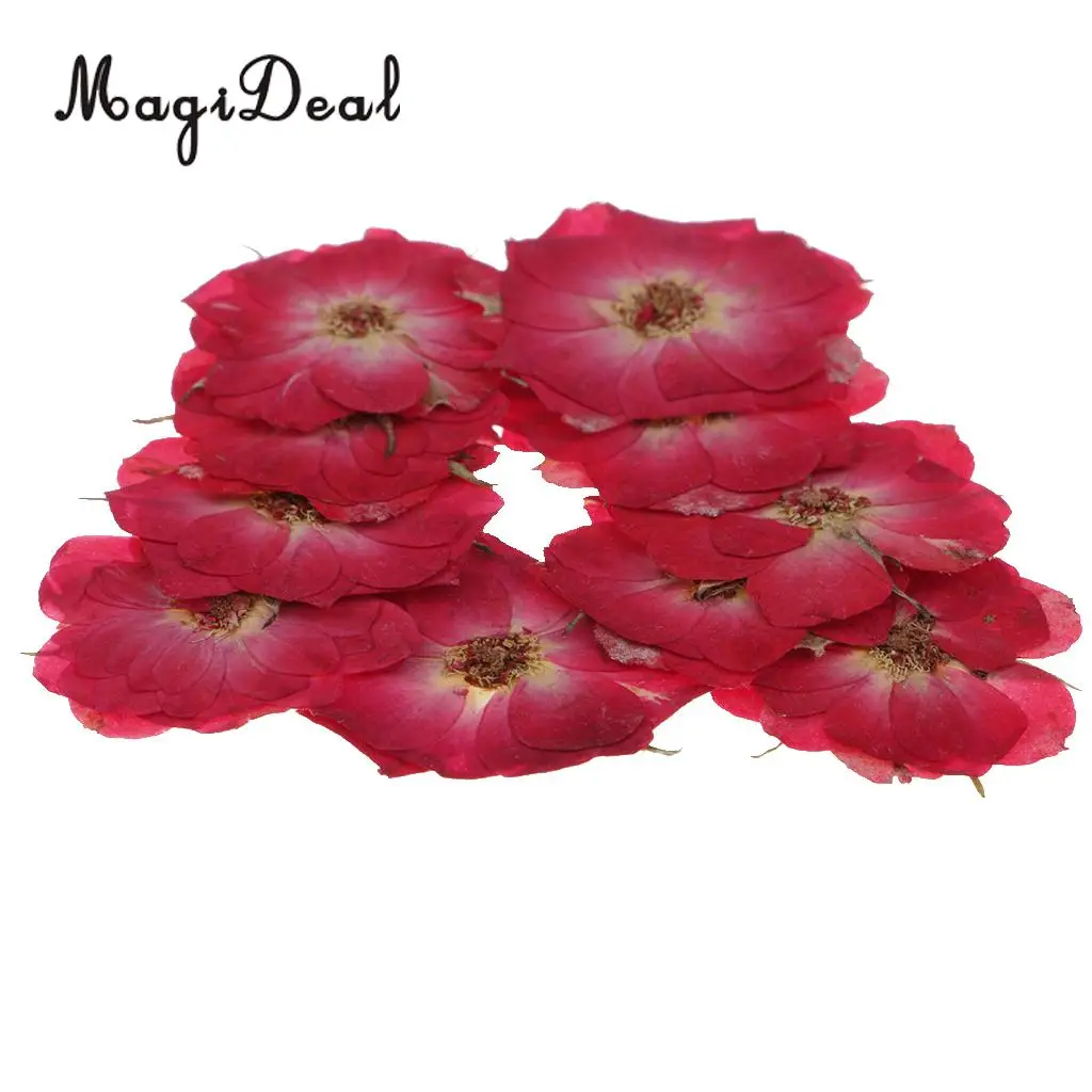 22 шт натуральные розы фиолетовые сушеные прессованные цветы для скрапбукинга