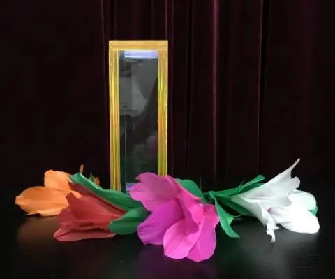 Free shipping Japanese latest stage magic - Flower From Crystal Tube Magic tricks Comedy super effect illusion Magia Toys Joke | Игрушки и