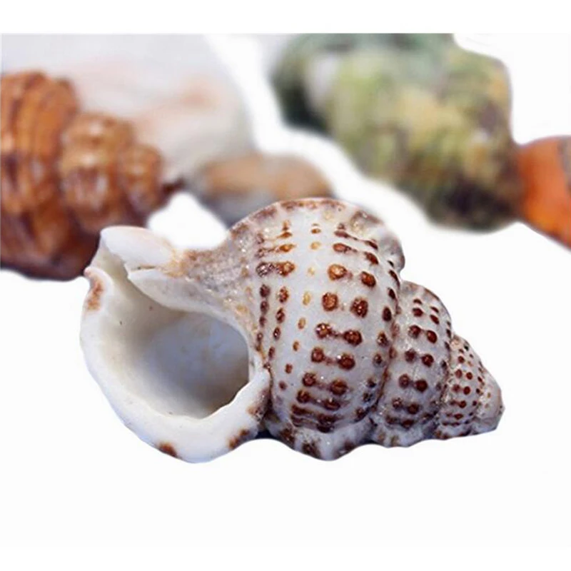 Натуральные морские ракушки украшения смешанные в средиземноморском стиле