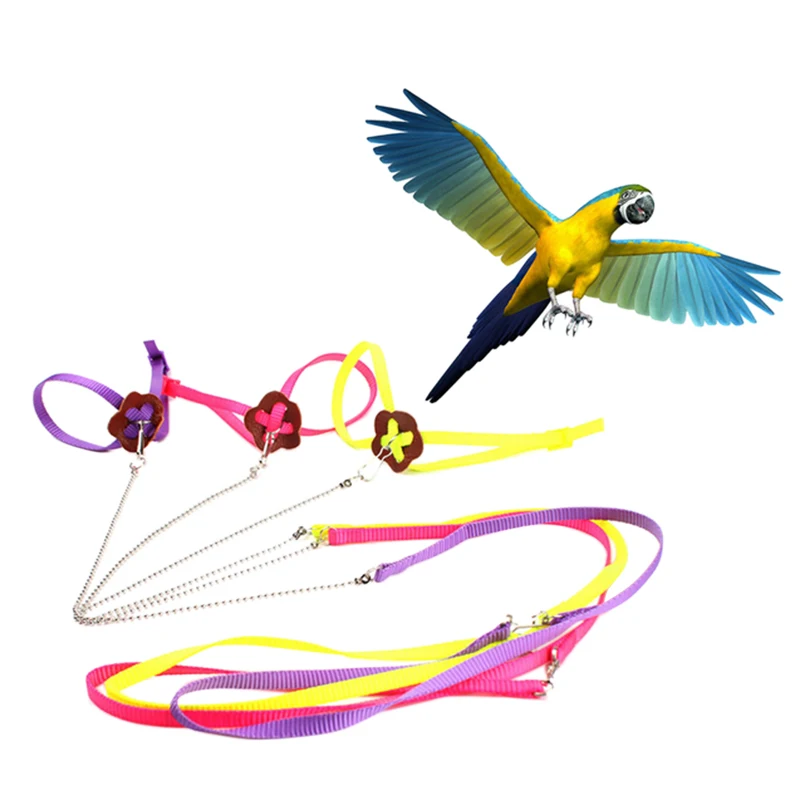Цветная яркая большая шлейка для птицы и поводка регулируемый светильник мягкие
