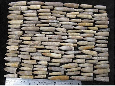 100 г натуральные Редкие образцы рыбы в виде стрелы|specimen| |