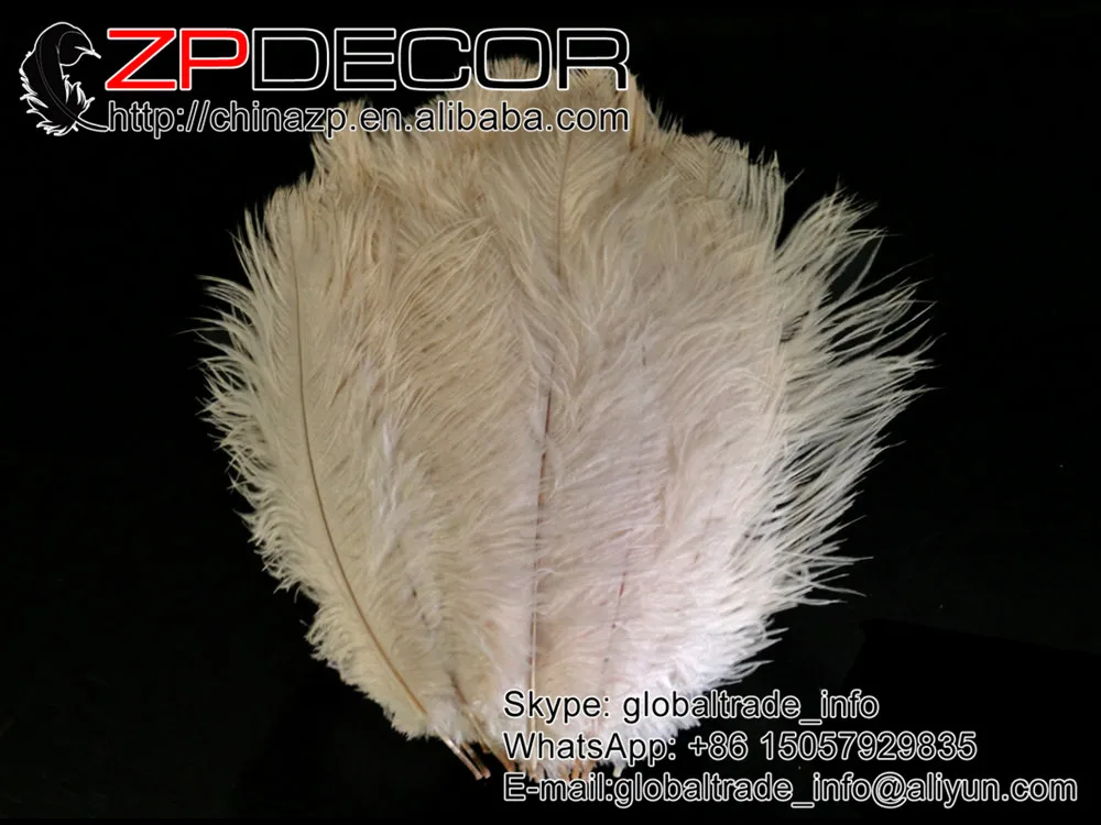ZPDECOR 100 шт./лот 15 20 см (6 8 дюймов) Premuim качественные гладкие маленькие белые
