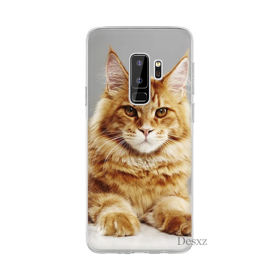 Desxz ПЭТ Мейн Cat Чехол для samsung Galaxy S6 S7 край S8 S9 S10 S10e Plus Note 8 9 S3 S4 S5 крышка
