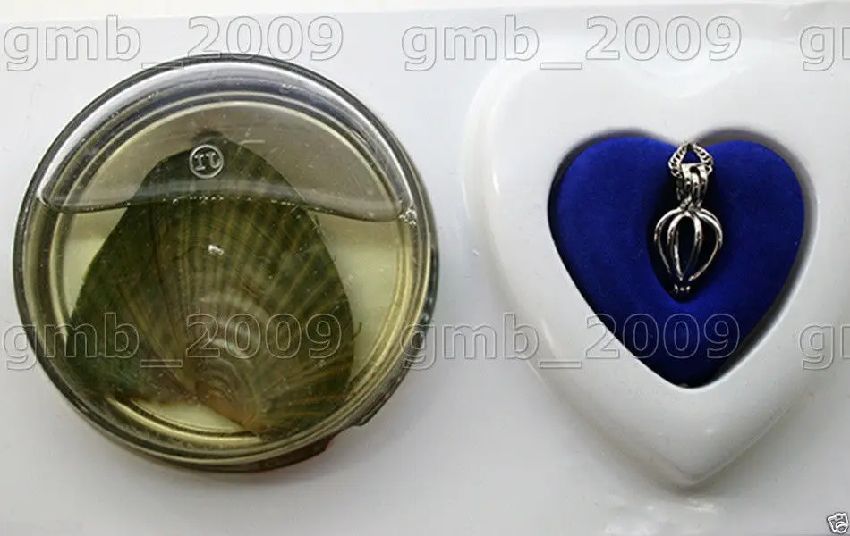 Китайская коробочка с узлом подарок сделай сам жемчужное ожерелье подвеской Oyster