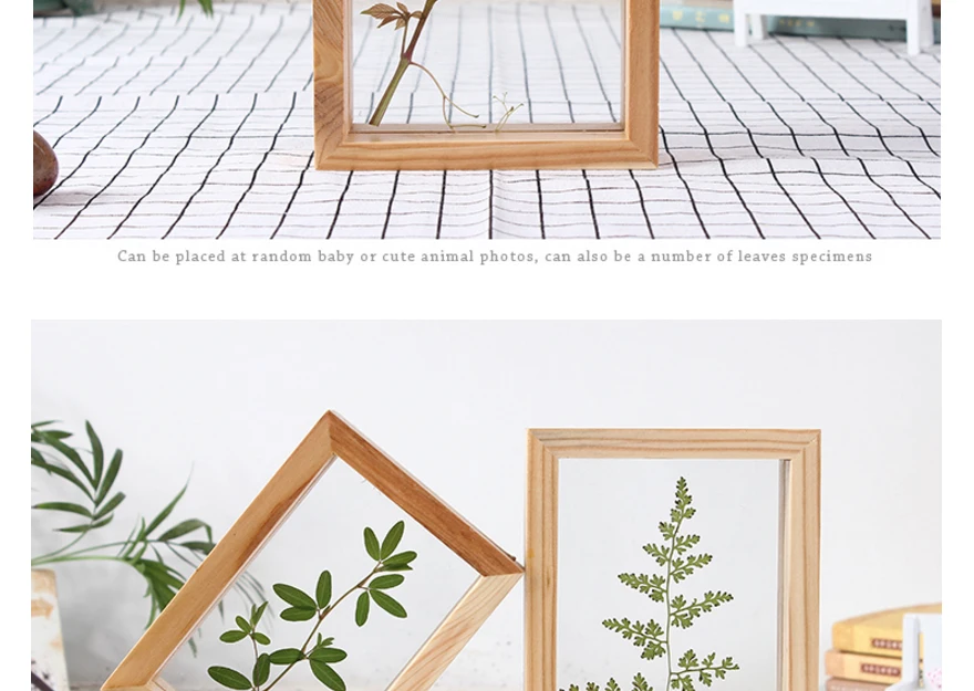 SUFEILE DIY креативный образец фоторамки домашний декор фото стена HD двухсторонняя Стеклянная фоторамка образец растения рамка D50