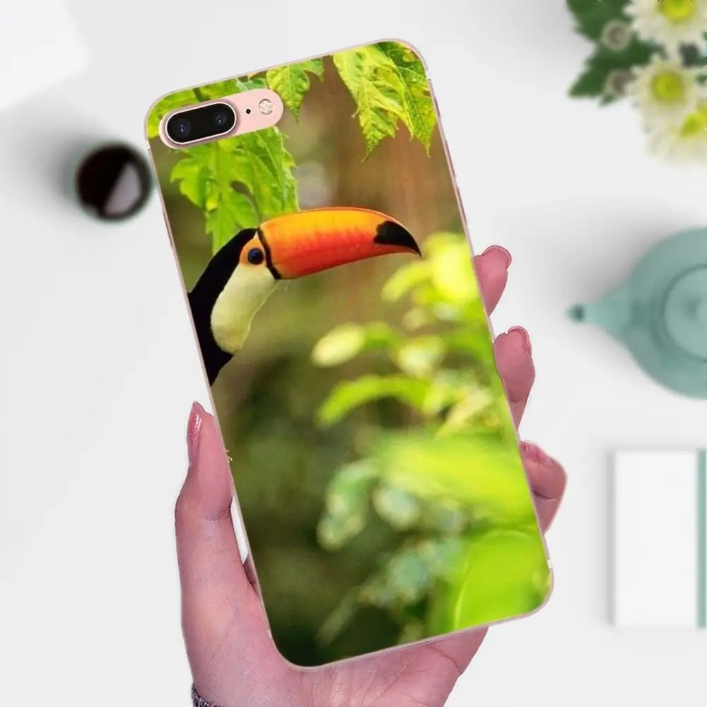 Тропический лес животное птица Toucan для Galaxy J1 J2 J3 J330 J4 J5 J6 J7 J730 J8 2015 2016 2017 2018 мини Pro TPU