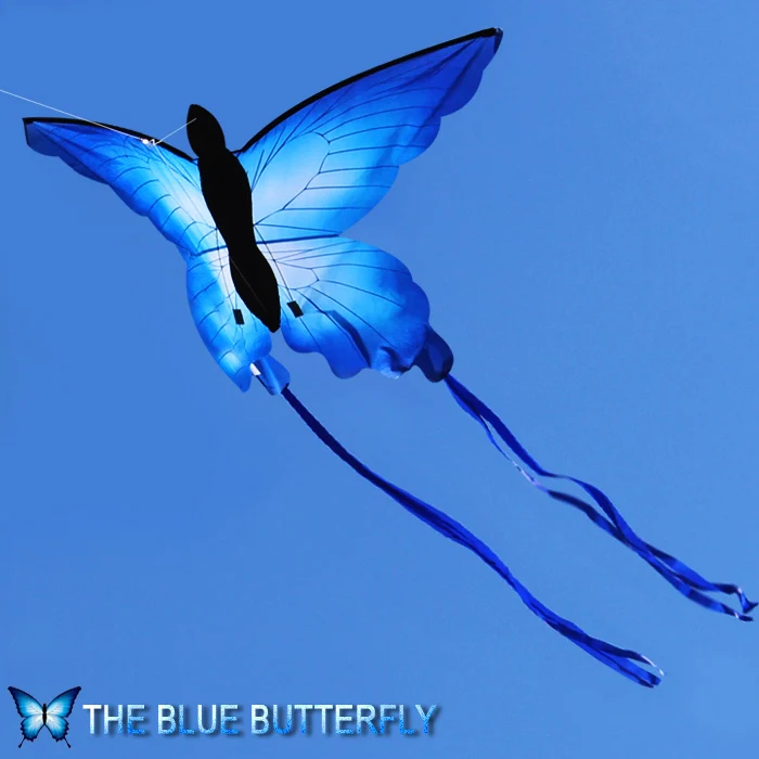 3D девочка Радуга животное volant Спорт Один кайт Летающая линия ребенок Papillon синий