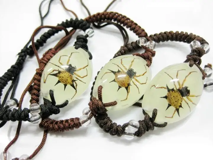12 штук образцы настоящий паук светящийся креативный подарок украшения vogue