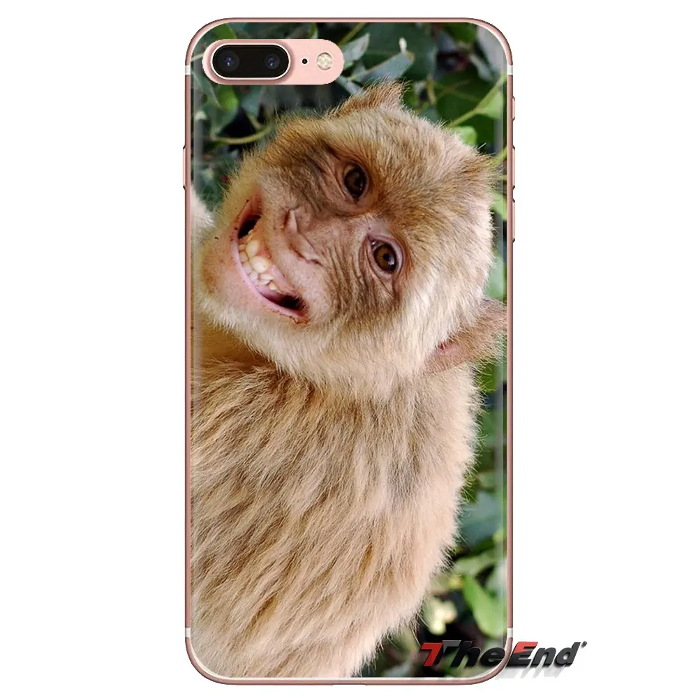 Soft Transparent Cases Covers Monkeys For iPod Touch Apple iPhone 4 4S 5 5S SE 5C 6 6S 7 8 X XR XS Plus MAX |