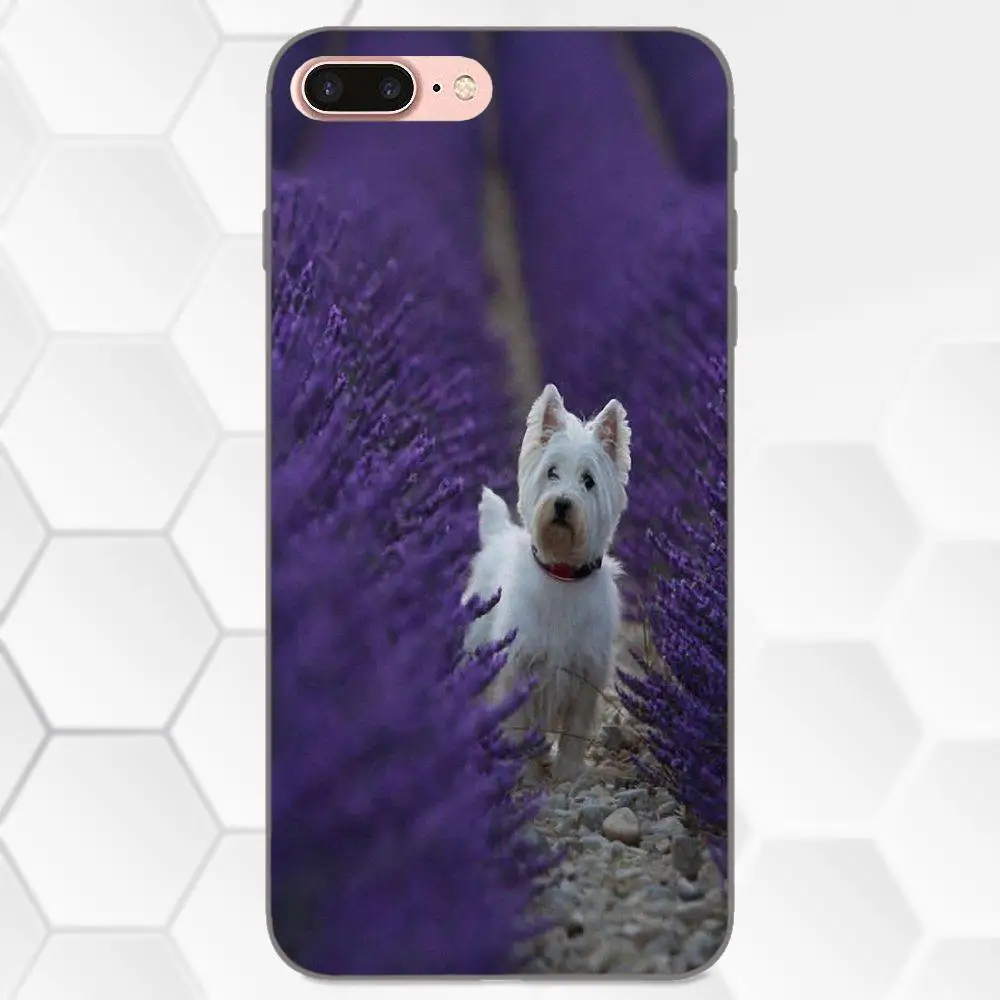 West Highland Terrier Westie щенок для Galaxy C5 C7 J1 J2 J3 J330 J5 J6 J7 J730 2017 Ace Core Duo Max Mini Plus Prime Pro |