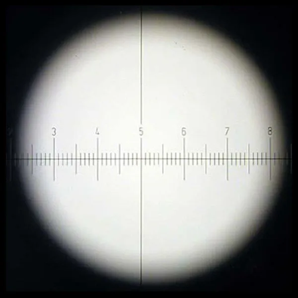 Бесплатная доставка-AmScope WF10X окуляр микроскопа с сеткой (23 мм) | Инструменты