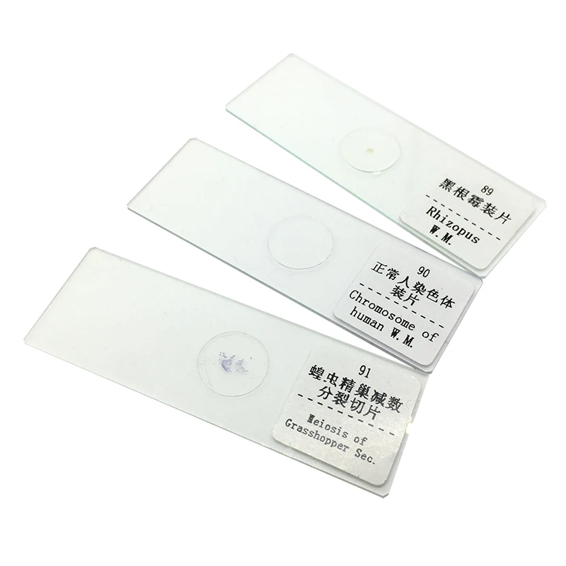 91 шт Профессиональный подготовленный стеклянный микроскоп слайды