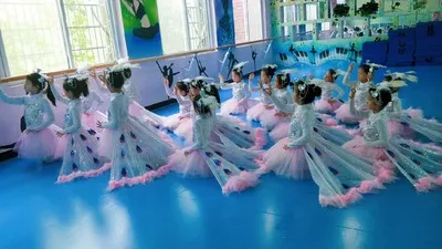 Одежда для маленьких танцев с павлином; танцевальные костюмы с птицей; детская Одежда для танцев для девочек; одежда для выступлений