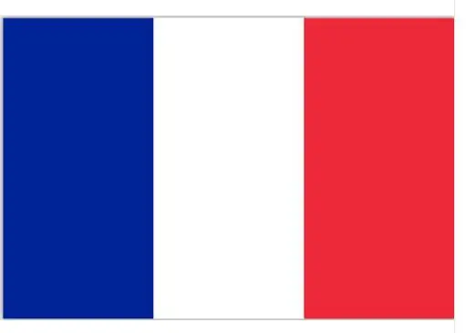 Bandera de poliester de Francia, bandera nacional de poliester, 5x3 pies, 90x150cm, nueva-0