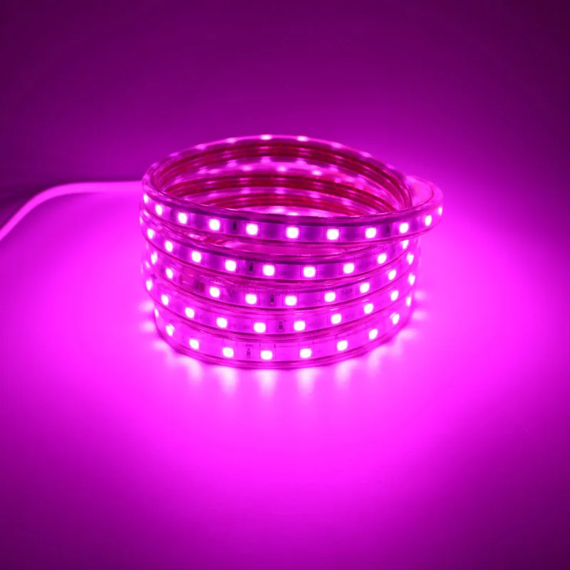 Светодиодная лента гибкая светящаяся 220 В с вилкой ЕС Ширина 13 мм 5050 60