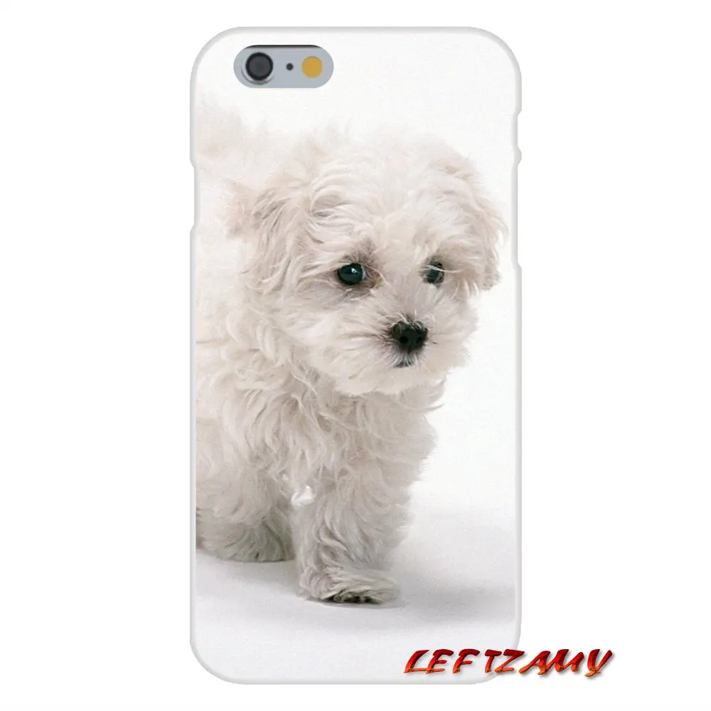 Чехол для телефона с изображением милых белых щенков мальтийской породы на Samsung Galaxy S3 S4 S5 MINI S6 S7 edge S8 S9 Plus Note 2 3 4 5 8.