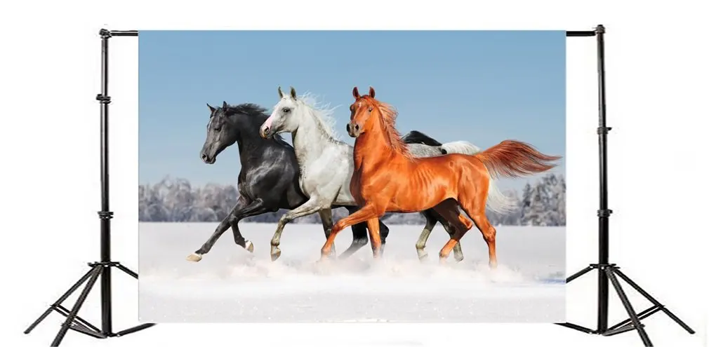 

Photography Backdrop Nature Landscape Runing Horse Trees Blue Sky Travel