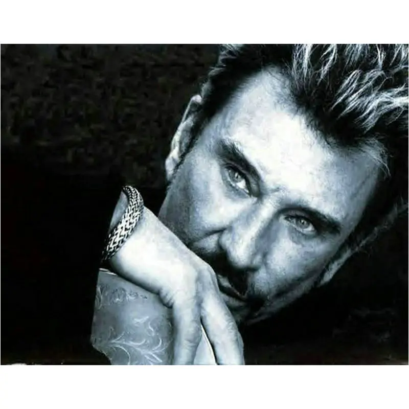 C Полностью круглая 5d алмазная картина, рисунок «Джони hallyday», икона орла, полное алмазное сверло для квадратных отверстий, вышивка, художественная работа, французский певец, мозаика - Цвет: C