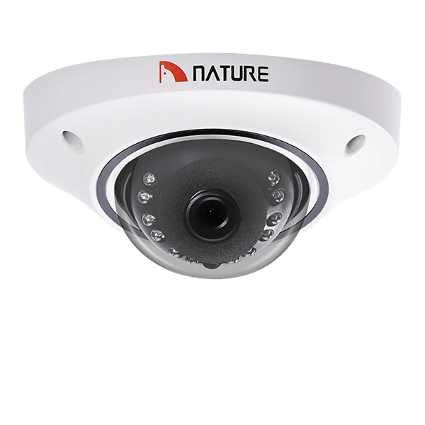 2MP IP камера ONVIF с POE аудио безопасности CCTV металлическая Антивандальная купольная
