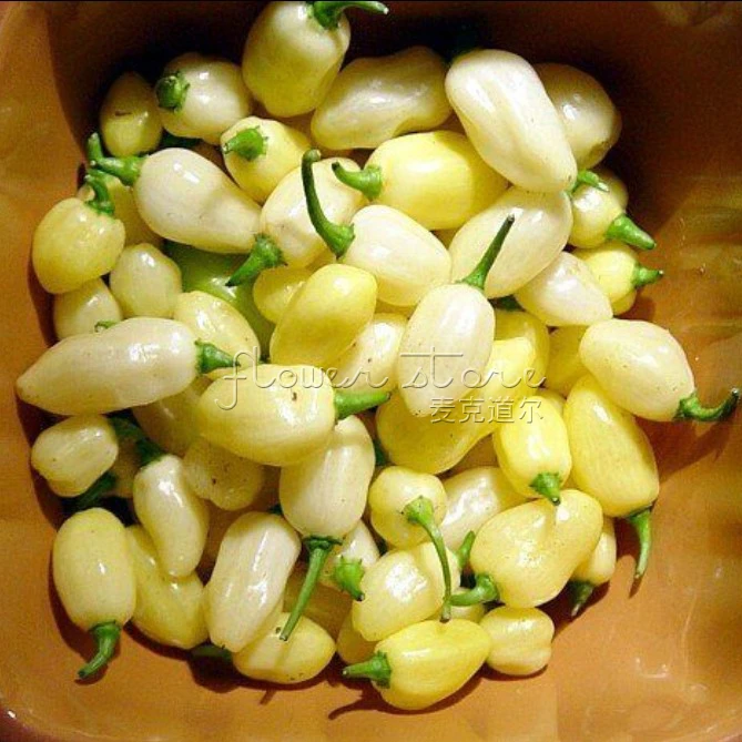 Редко 20 перуанский белый перец habanero огород декоративные семена Бесплатная