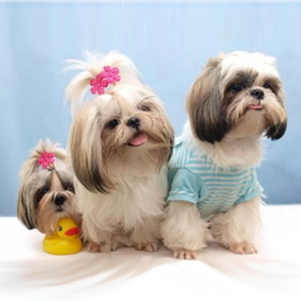 

3D Diamond Embroidery Diy Diamond Painting Three Dogs Pictures Diamond Mosaic Gift Diamond Picture Home Decor Full