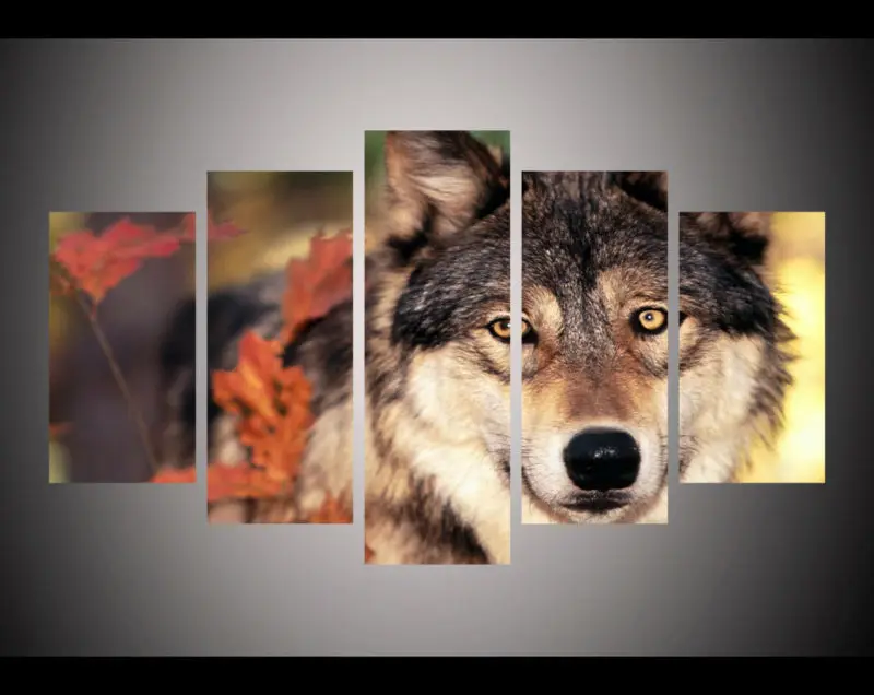 

5 панелей HD печатная Модульная картина животное лес волк холст печать искусство Современный домашний декор Настенная картина для гостиной