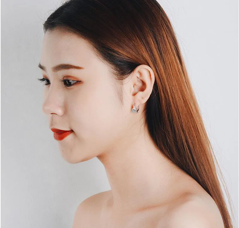 

Fashion Cute Clear Zircon Square Shape 925 Silver Circle Hoop Earring For Child Kids Girls Women Loops Huggie Party Gift Jewelry