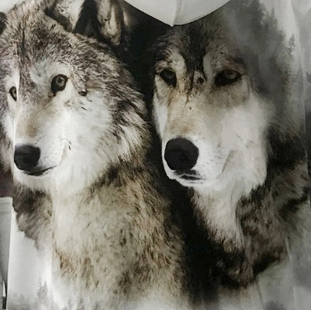 JAYCOSIN Snow Mountain Wolf Z толстовка с капюшоном и карманом 3D цифровая печать Мужская