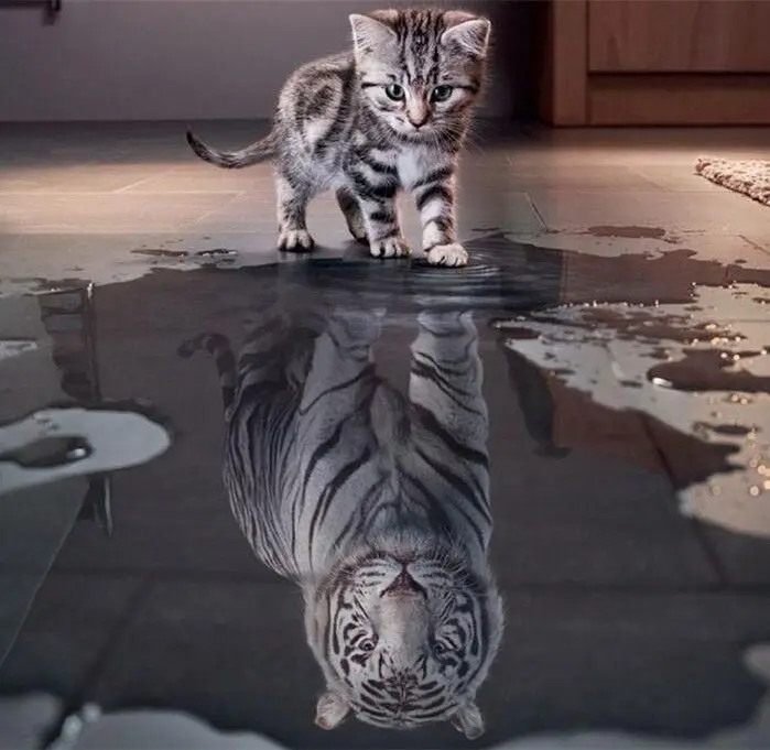 

New Diamond mosaic full diamond embroidery beads Tiger in Heart Cat diamond cross stitch painting handwork wall home decor