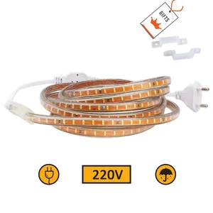 AC220V SMD 3014 Светодиодные ленты гибкий Водонепроницаемый лента Мощность Plug 120 светодиодовм полоса светильник 1 м 2 м 3 м 4 м 5 м 10 м 15 м 20 м 25 м возможностью погружения на глубину до 30 м 35 м JQ