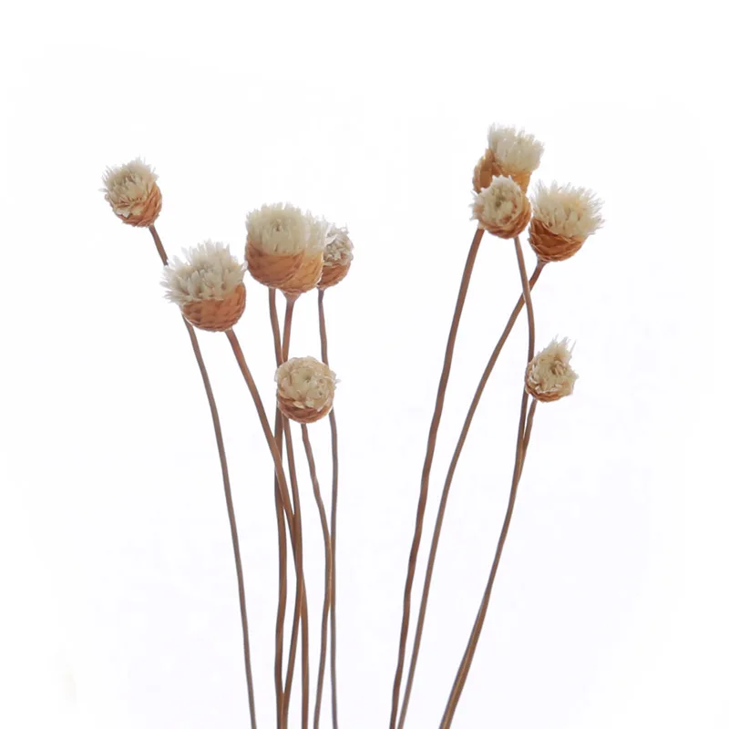 Lychee Life 10 шт. 22 см маленький цветок бутон Рид диффузор поддельный цветок DIY ручной работы украшения дома современный простой стиль ротанга