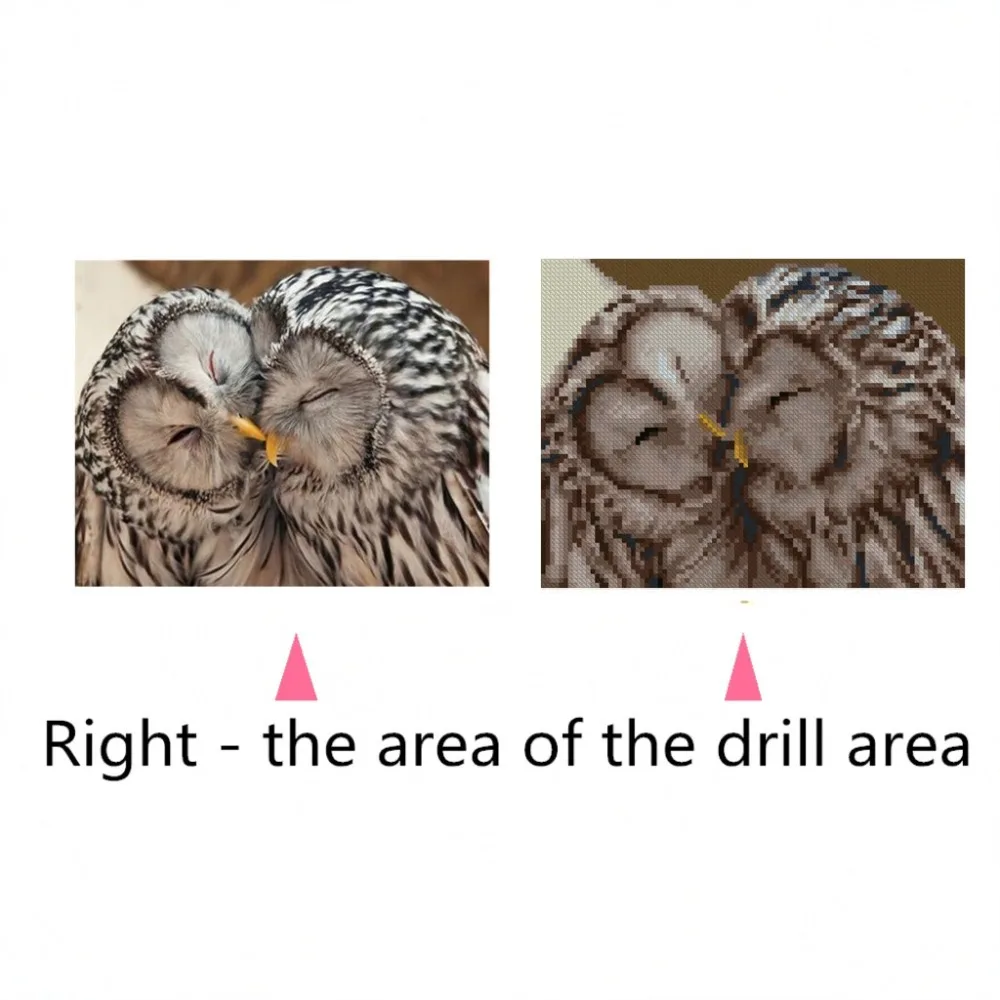 Алмазная вышивка особой формы сова пары алмазная картина сделай сам живопись