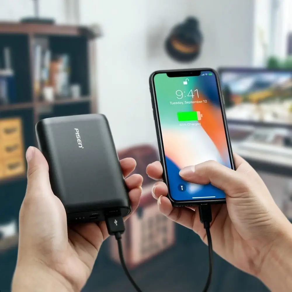 PISEN 10050 mAh 5 V/2.4A быстрая зарядка банк питания type-C и Micro-USB Двойной вход