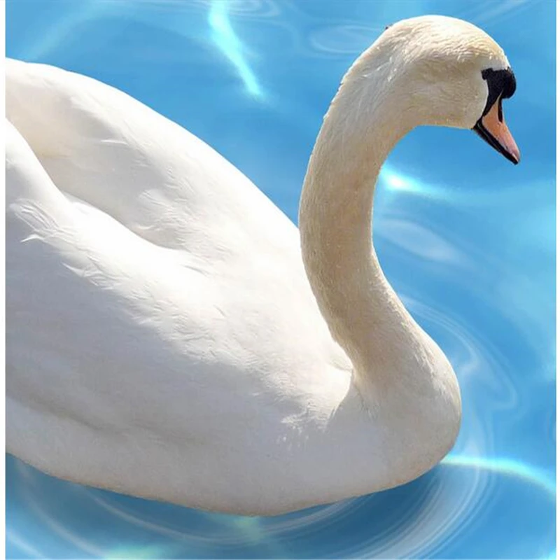 3d ПВХ напольное покрытие beibehang фото на заказ водонепроницаемая напольная