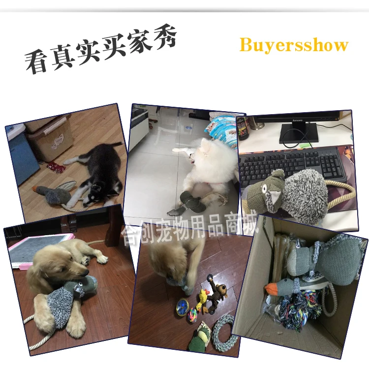 Игрушки для собак укусы и голосовые молярные игрушки кошки|Игрушки собак| |