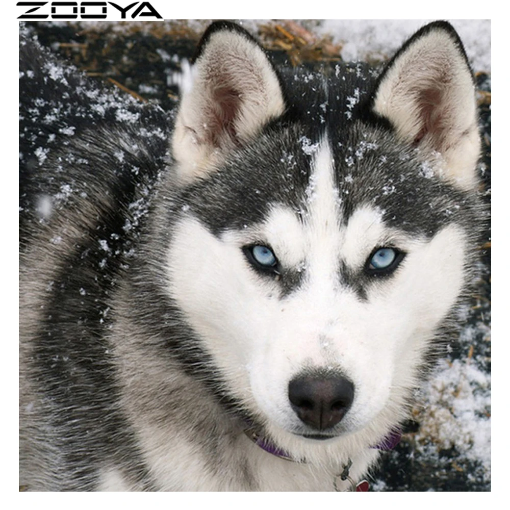 

ZOOYA DIY 5D Diamond Painting Cross stitch Dog Husky Needlework Diamond Embroidery Pattern Hobbies and Crafts Home Decor R1052