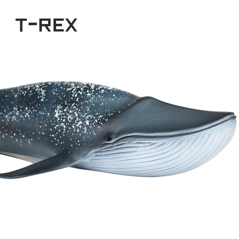 T REX 27 см ПВХ имитация морского Кита модель животного для детей человек против