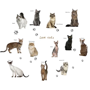 Настенная Наклейка 3D в виде милого кота для спальни, домашнего декора