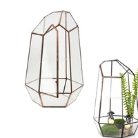 19cm height irregular glass geometric terrarium box tabletop succulent plant planter flower moss fern pot