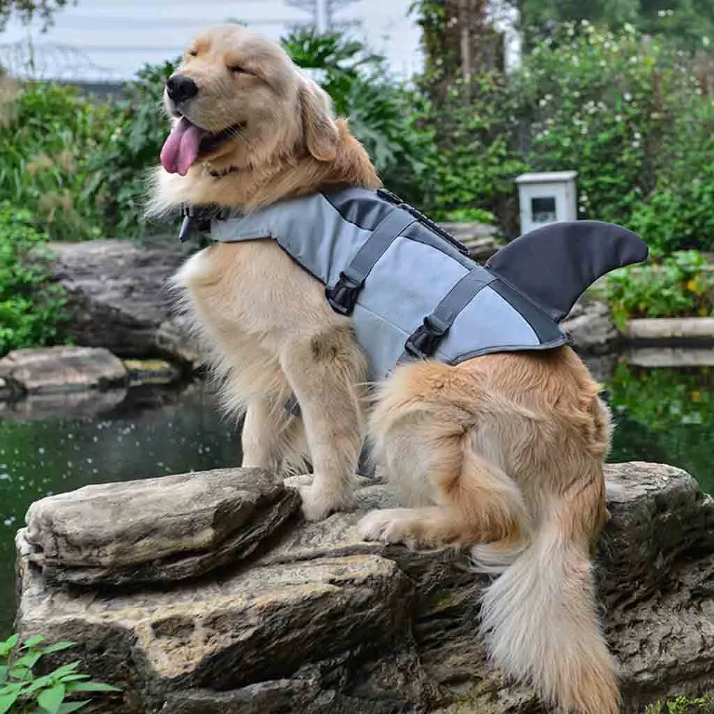 Gray HSU Pet Dog Life плавательный жилет Акула поплавок жилет плавучий спасательный жилет костюм футболка для маленьких средних собак Милая верхняя одежда ткань - Цвет: Gray