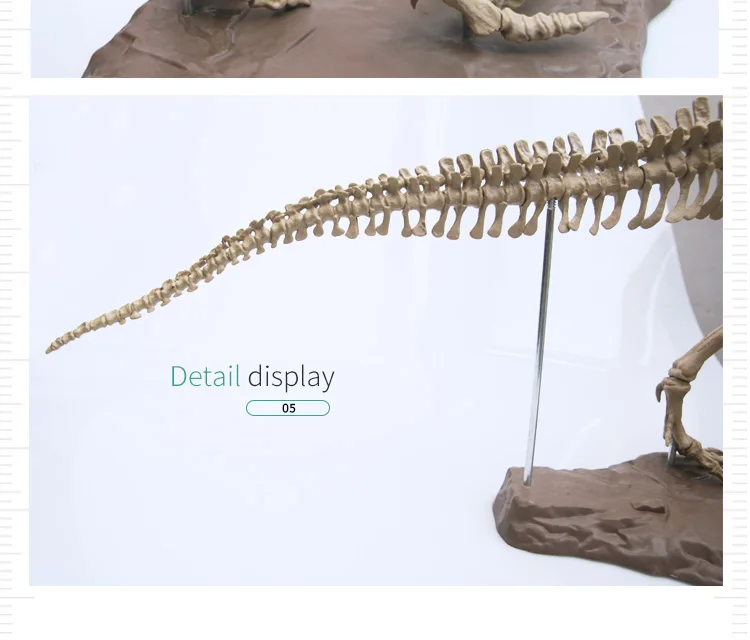 Моделирование 4D собранная модель большой тираннозавр рекс Fossil животная модель Diy обучающие игрушки для детей динозавр модель