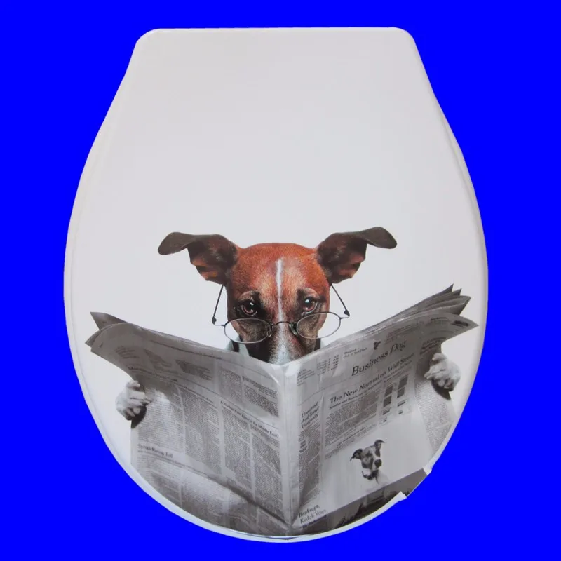 toilet lid cover standard closing 2016 high quality colorful seat set hot selling fashion bathroom pp | Обустройство дома