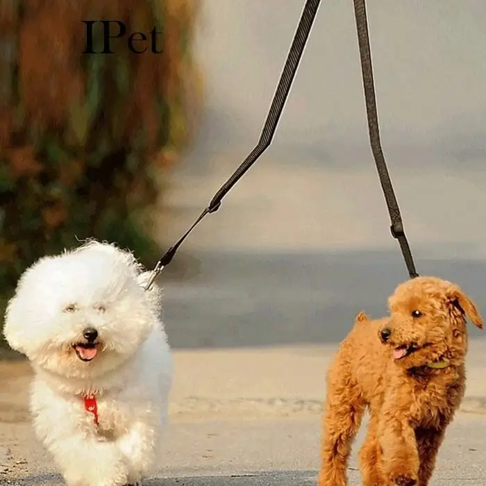 Случайный 2 размер милый соединитель двойной ремень веревка товары для питомцев