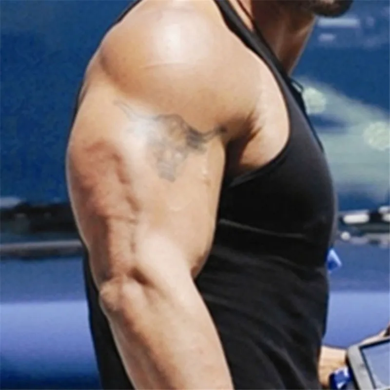 3 шт. руки плечи грудь черепаха оболочка тотем Аполлон бык Тау Кок