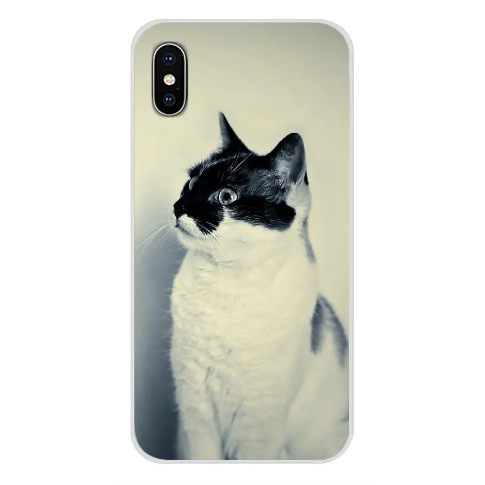 Transparent TPU Shell Case For Samsung A10 A30 A40 A50 A60 A70 Galaxy S2 Note 2 3 Grand Core Prime Animals Cats Cat with glasses | Мобильные