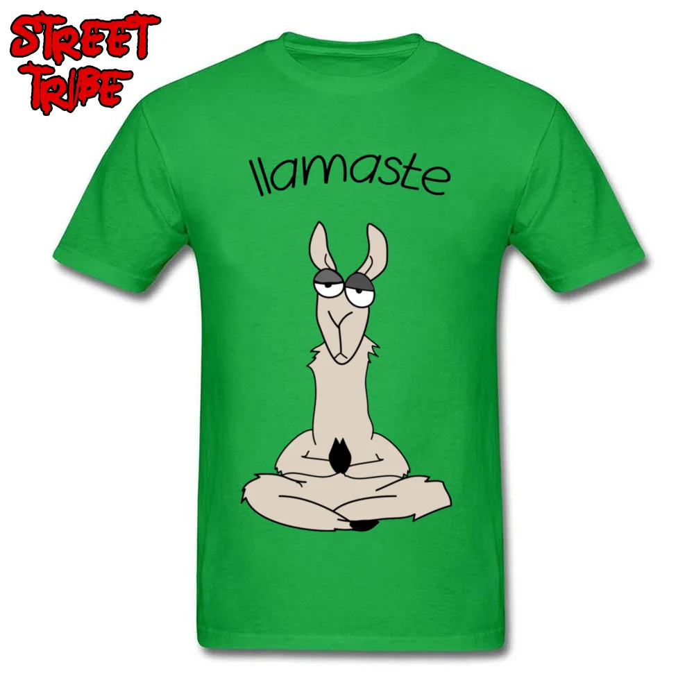 Llamaste Llama футболка Веселая Мужская футболка женская футболка с рисунком Намасте на заказ из хлопка высокого качества белые топы интересные футболки - Цвет: Green
