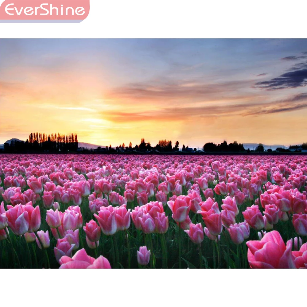 EverShine 5D алмазная картина цветы Стразы Алмазная Вышивка Роза вышивка крестом