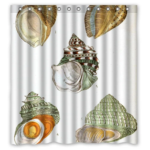 Asd старинные геккель морские раковины заказ занавески для душа 66 &quot x 72