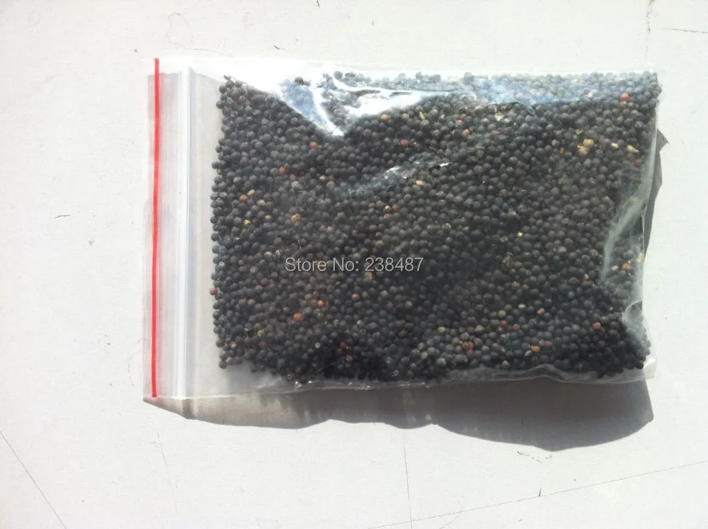 Семена пастухи/прививки/Шэн Ван бу Лю Син/чай Традиционные сухие травы