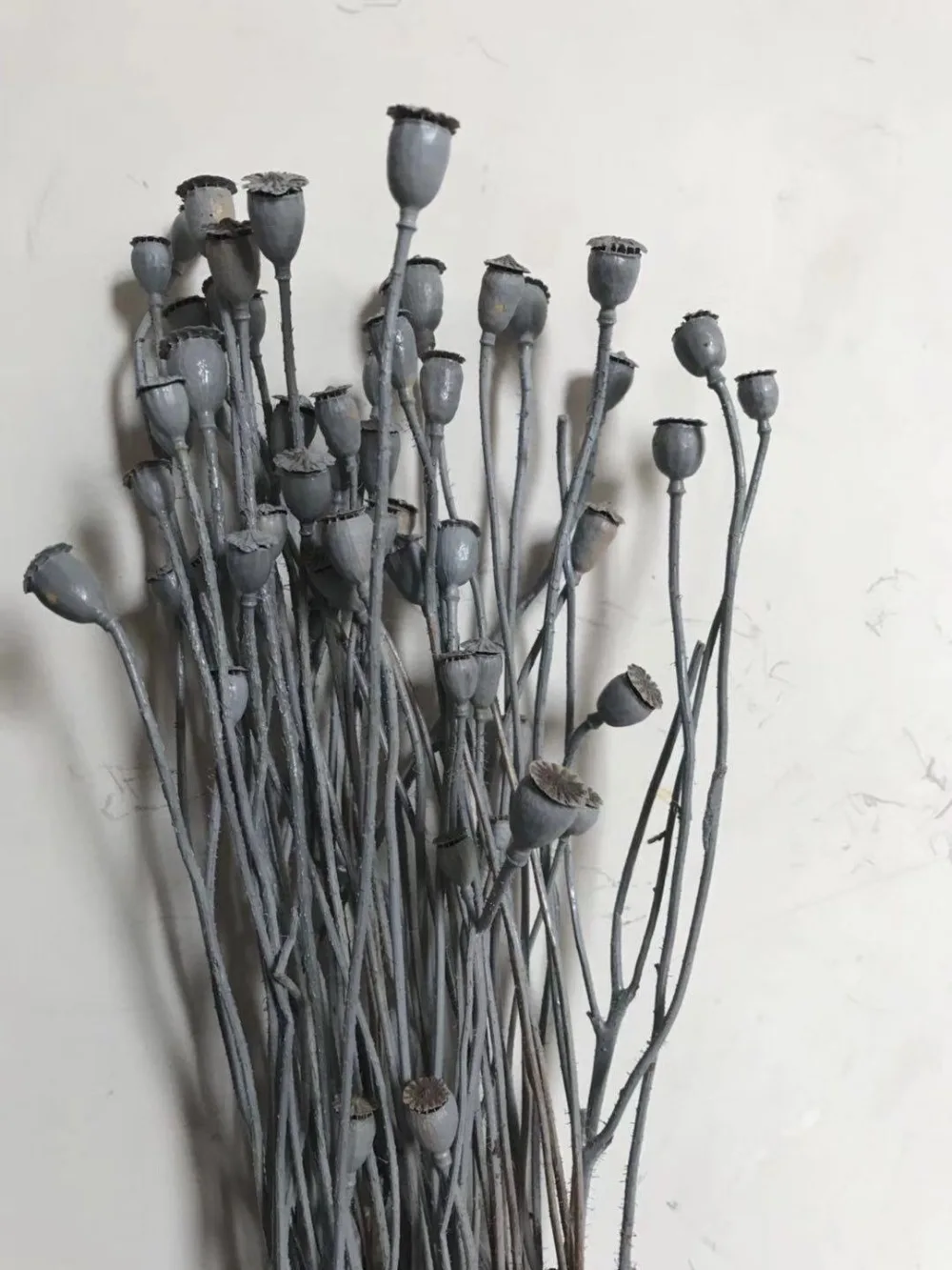 1 комплект 40 50 шт Серый сушеный Papaver Rhoeas L. для свадебной вечеринки украшение дома и